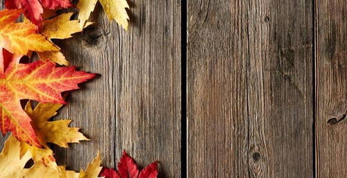 獨(dú)立站聯(lián)盟營(yíng)銷流程